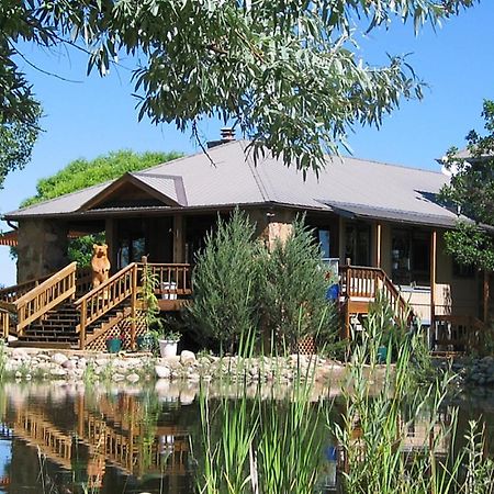 Mancos Starry Nights Ranch Bed & Breakfast المظهر الخارجي الصورة