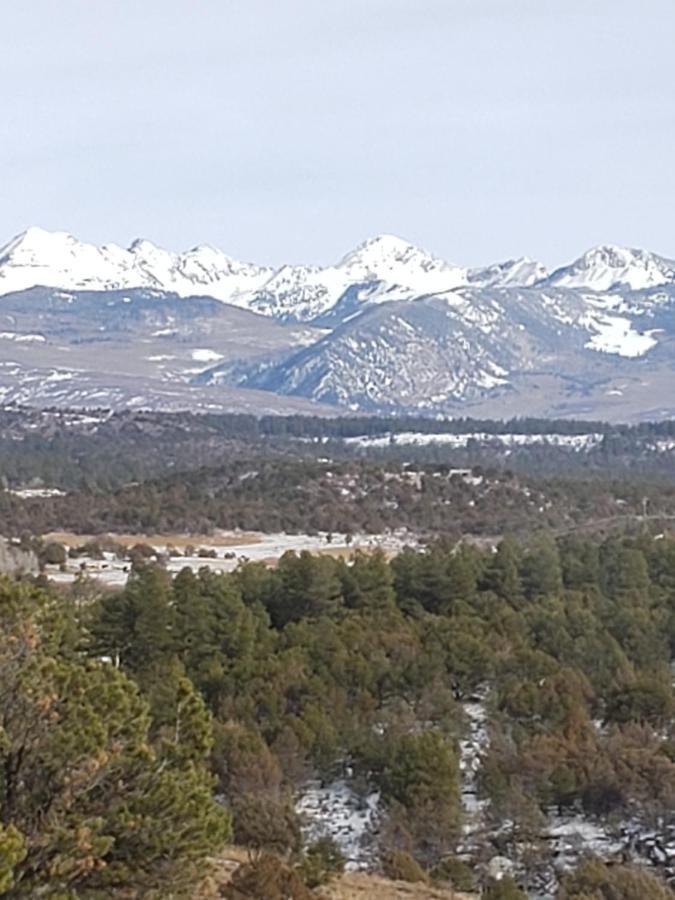 Mancos Starry Nights Ranch Bed & Breakfast المظهر الخارجي الصورة