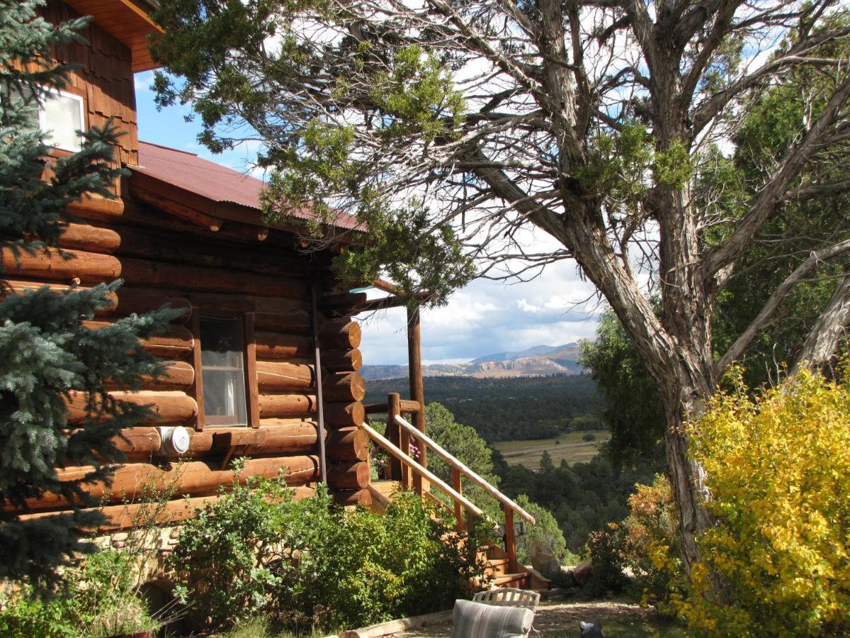 Mancos Starry Nights Ranch Bed & Breakfast المظهر الخارجي الصورة