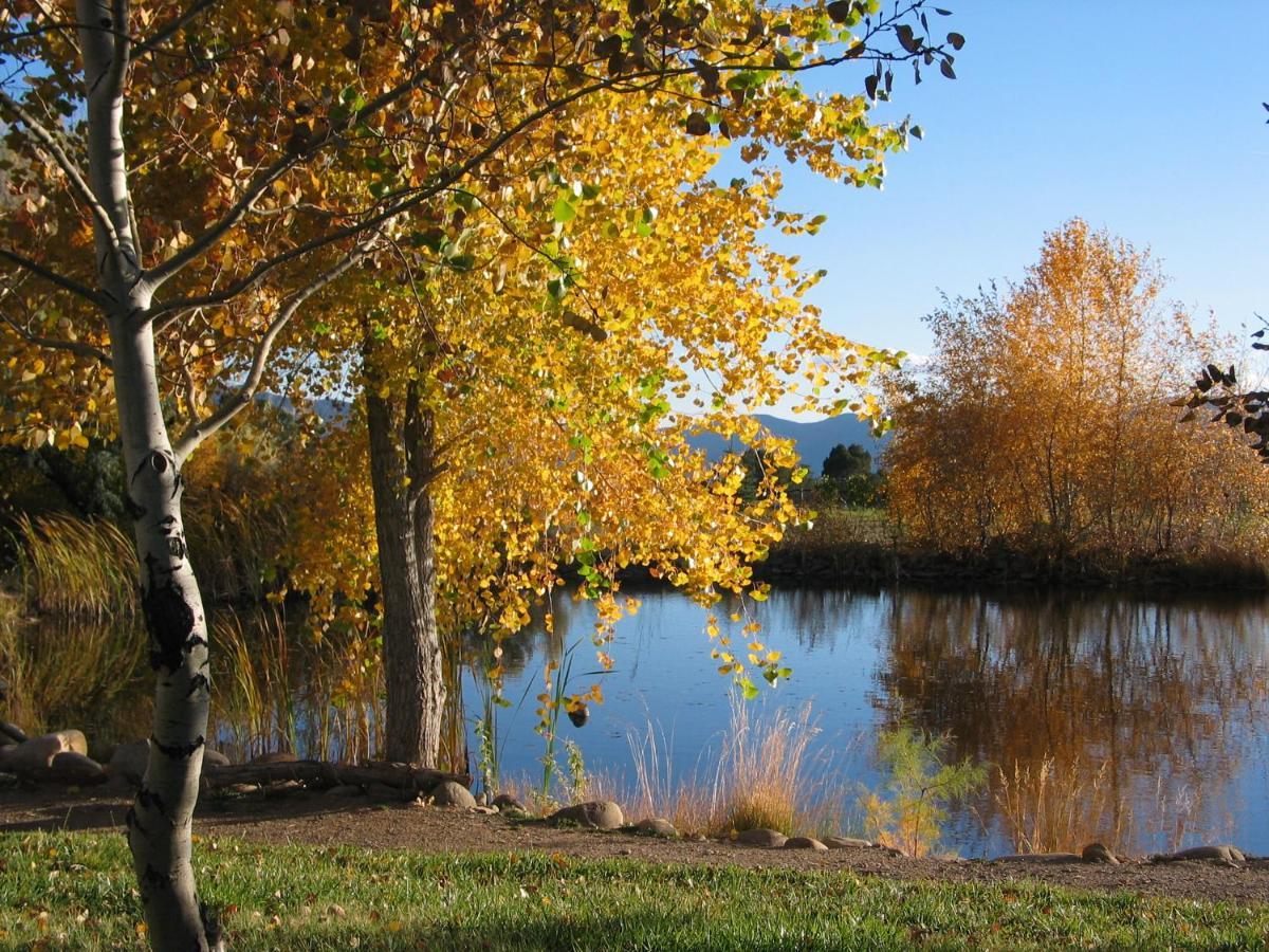 Mancos Starry Nights Ranch Bed & Breakfast المظهر الخارجي الصورة