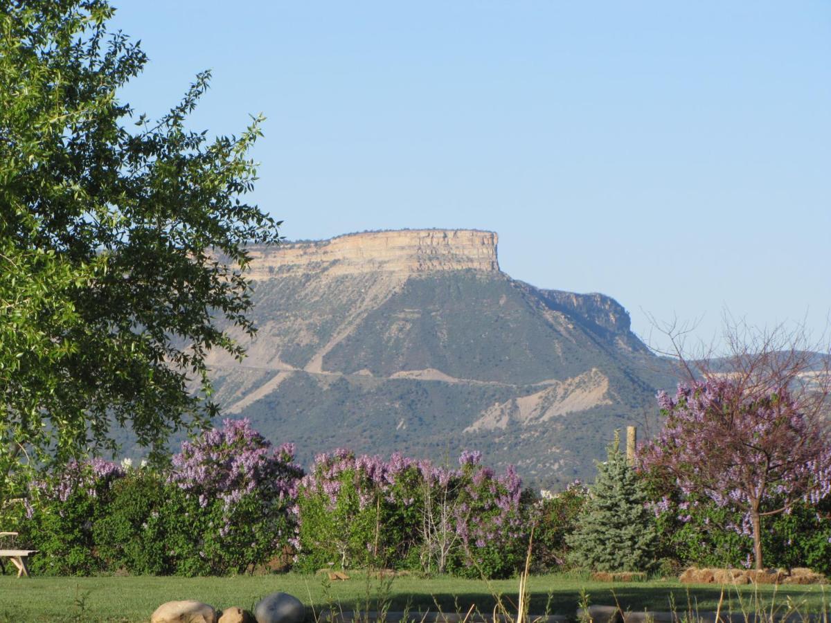 Mancos Starry Nights Ranch Bed & Breakfast المظهر الخارجي الصورة