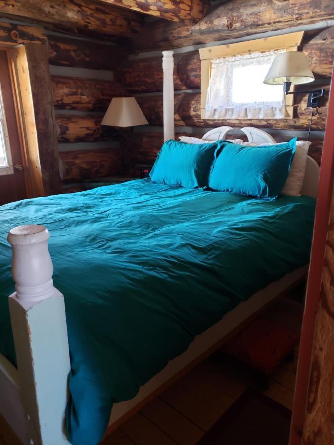 Mancos Starry Nights Ranch Bed & Breakfast المظهر الخارجي الصورة