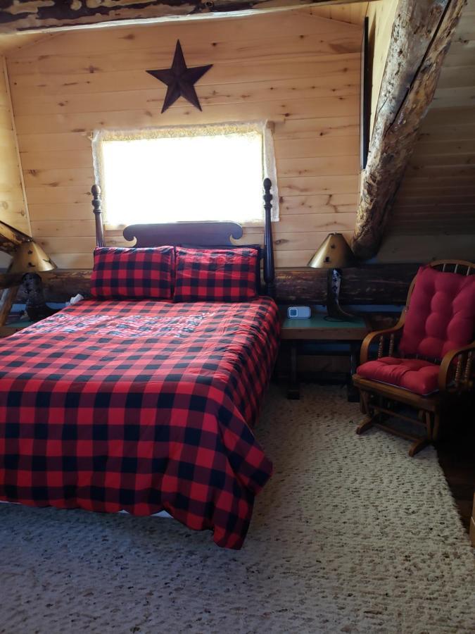 Mancos Starry Nights Ranch Bed & Breakfast المظهر الخارجي الصورة